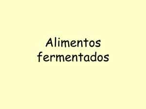 Alimentos fermentados