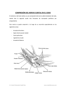 compresión del nervio cubital en el codo