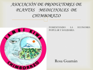 asociación de productores de plantas medicinales de chimborazo