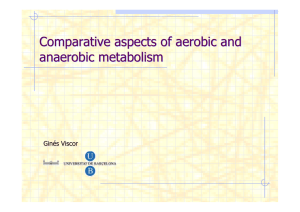 Comparative aspects of aerobic and anaerobic metabolism