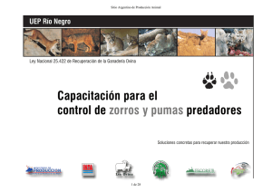 Capacitación para el control de predadores zorros y pumas