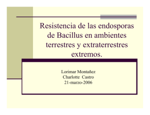 Resistencia de las endosporas de Bacillus en ambientes terrestres y