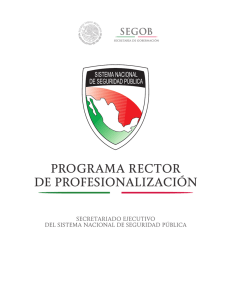 programa rector de profesionalización