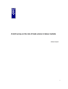 A brief survey on the role of trade unions in labour markets