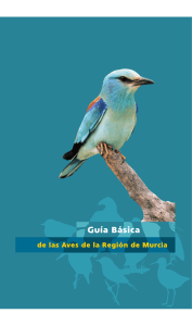 Guía Básica de las Aves de la Región de Murcia