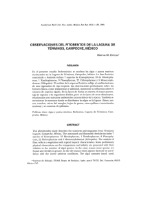 Observaciones del fitobentos de la Laguna de Términos, Campeche