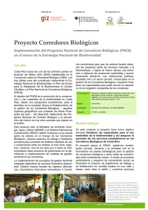 Proyecto Corredores Biológicos