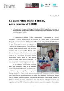 La catedràtica Isabel Fariñas, nova membre d`EMBO