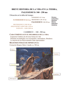 Paleozoico, Breve Historia de la Vida en la Tierra