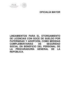 Lineamientos S/N Lineamientos para el Otorgamiento de Licencias