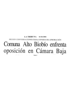 Comuna Alto Biobío enfrenta oposición en Cámara Baja