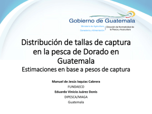 Distribución de tallas de captura en la pesca de Dorado en Guatemala