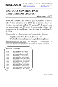 BIOTOOLS CONTROL DNAs Goose Ganso/Oca (Anser sp.)