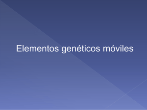 Clase 5-Elementos geneticos moviles