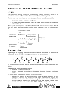 biomoléculas o principios inmediatos orgánicos lípidos ácidos grasos