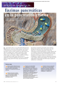 Enzimas pancreáticas en la pancreatitis crónica