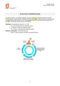 División celular - Inicio | iesTorreolvidada