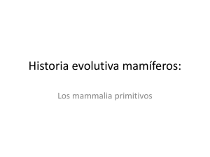 Historia evolutiva mamíferos