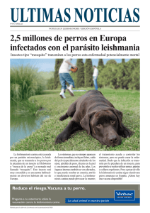 2,5 millones de perros en Europa infectados con el parásito
