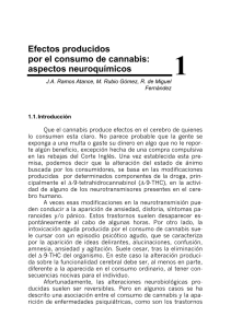 Efectos producidos por el consumo de cannabis: aspectos