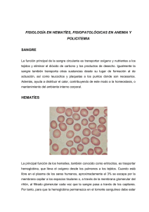 FISIOLOGÍA EN HEMATÍES, FISIOPATOLÓGICAS EN ANEMIA Y