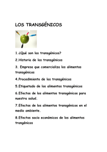 LOS TRANSGÉNICOS