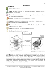 11. Lecythidaceae - Facultad de Ciencias Exactas y Naturales y