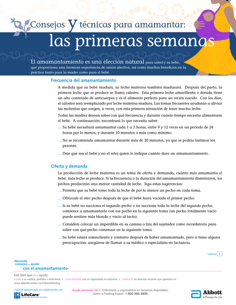 Las Primeras Semanas