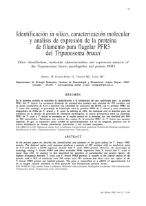 Identificación in silico, caracterización molecular y análisis de