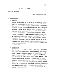 Page 1 303 V a P. J. R. L. I. N Q S 4, 1 RAZAS DE CER 305 Félix