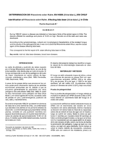 DETERMINACIÓN DE Rhizoctonía solaní Kuhn. EN HABA (Vic