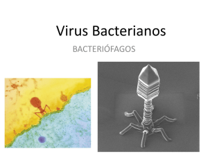 Virus Bacterianos