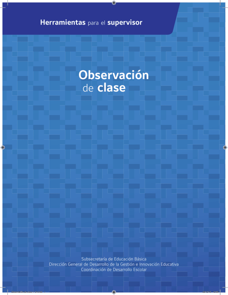 Observación De Clase - Escuelas De Calidad