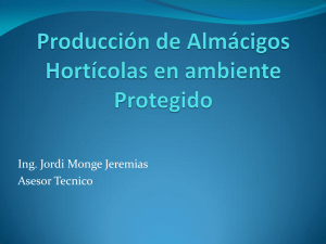 Produccion de almacigos horticolas en ambiente protegido