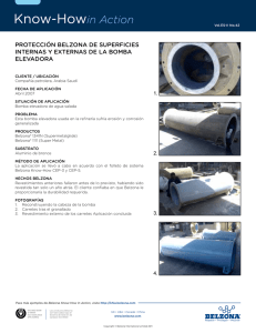 PROTECCIÓN BELZONA DE SUPERfICIES INTERNAS y