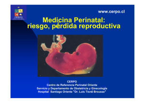Medicina Perinatal: riesgo, pérdida reproductiva