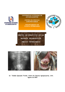 manual de practicas de la materia propedéutica médico veterinario