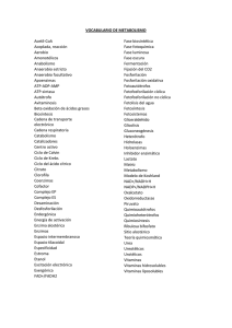 Vocabulario de metabolismo.