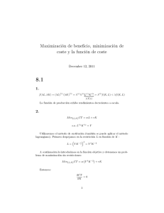 Maximización de beneficio, minimización de coste y la función de