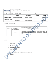 p-pro-007 procedimie..