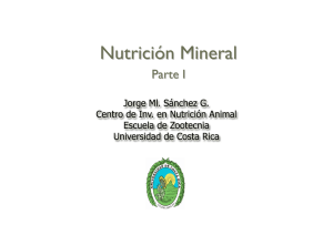 Nutrición Mineral