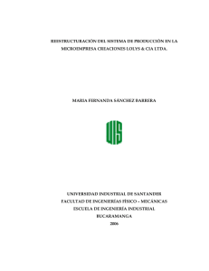 reestructuraci&oacute;n del sistema de producci&oacute;n en la microempresa