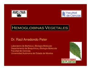 Hemoglobinas Vegetales