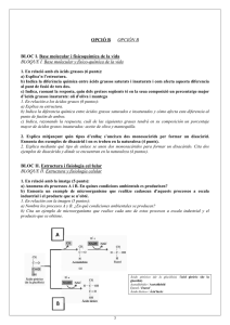 OPCIÓ B OPCIÓN B BLOC I. Base molecular i fisicoquímica de la