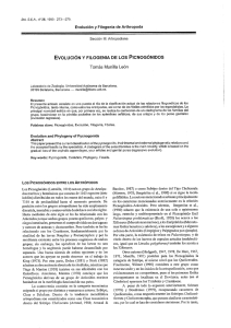 Evolución y filogenia de los Picnogónidos.