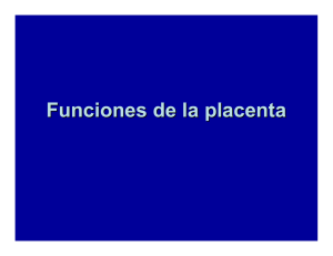 Resumen de funciones de la Placenta