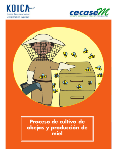 Proceso de cultivo de abejas y producción de miel