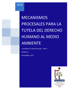 mecanismos procesales para la tutela del derecho humano