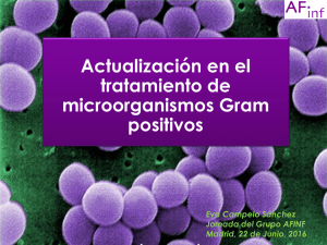 Actualización en el tratamiento de microorganismos Gram