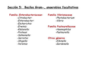 Sección 5: Bacilos Gram-, anaerobios facultativos